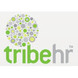 tribehr.com