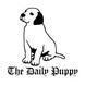 The Daily Puppy